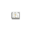 Nomination 030521/02 Charm