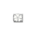 Nomination 330321/15 Charm
