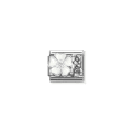 Nomination 330325/01 Charm