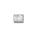 Charme Nomination 330508/07