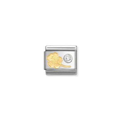Nomination 630301/04 Charm